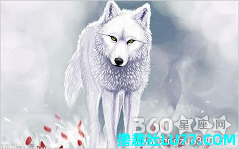 么 梦见狼