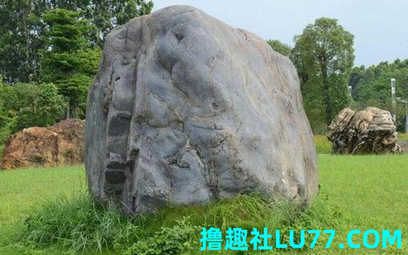 梦见石头砸腿