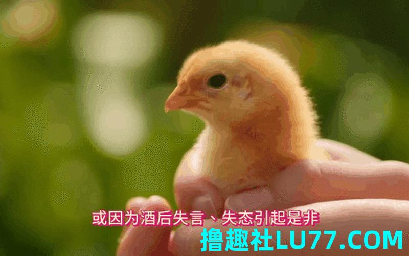 梦见跟人吃鸡肉是什么意思