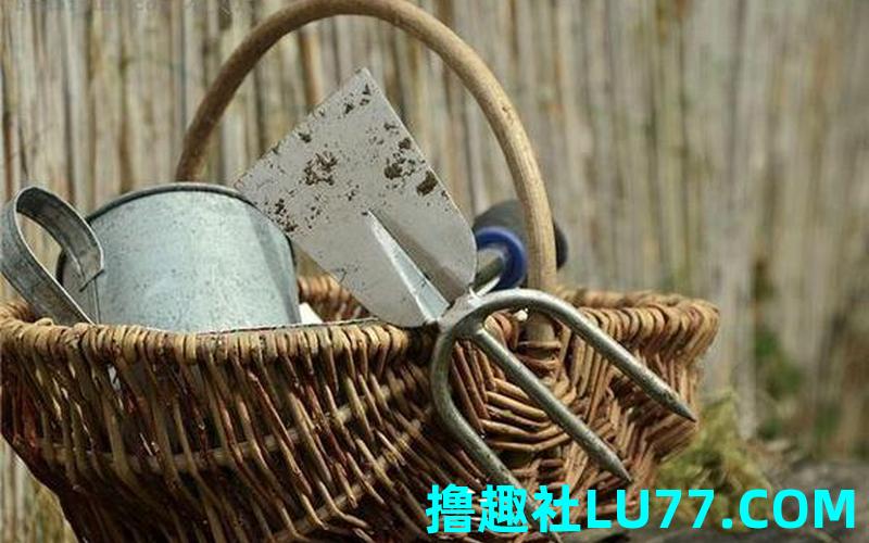 梦见水里找锄头 梦见水里找锄头