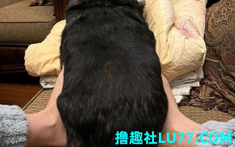 梦见屁股长脚
