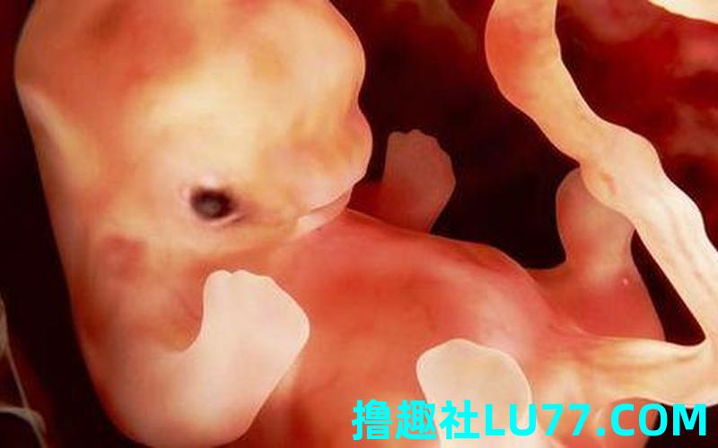 孕妇梦见肚子里的孩子在动