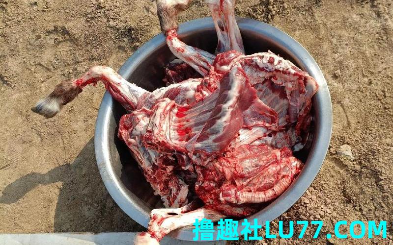 梦见集市杀羊