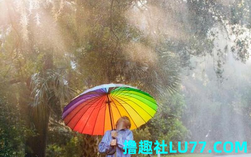 梦见抬头见伞