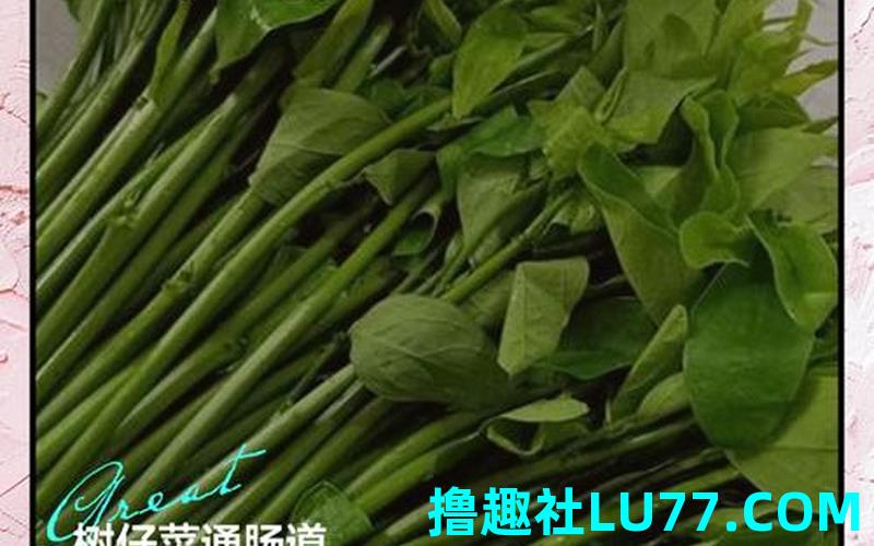 梦见在树青菜