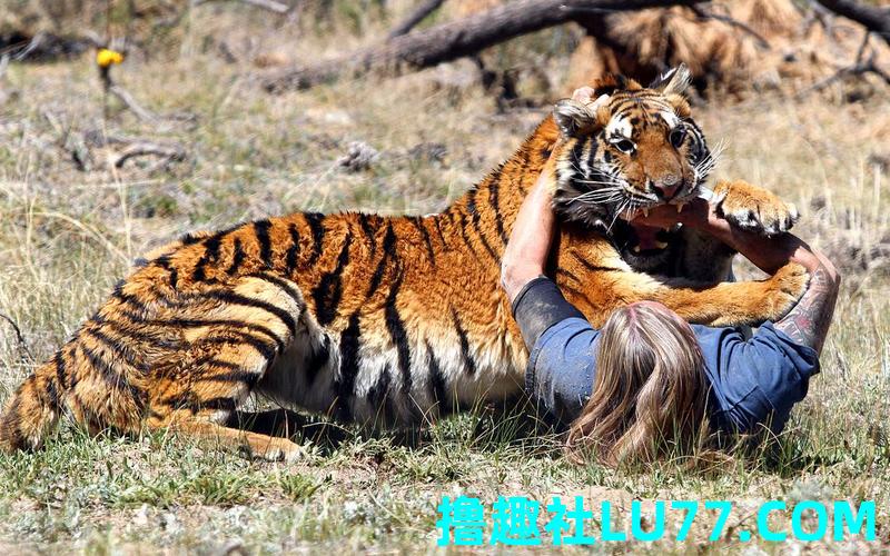 梦见杀动物是什么意思 梦见杀动物是什么意思