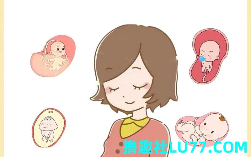 梦见老婆肚子里的孩子