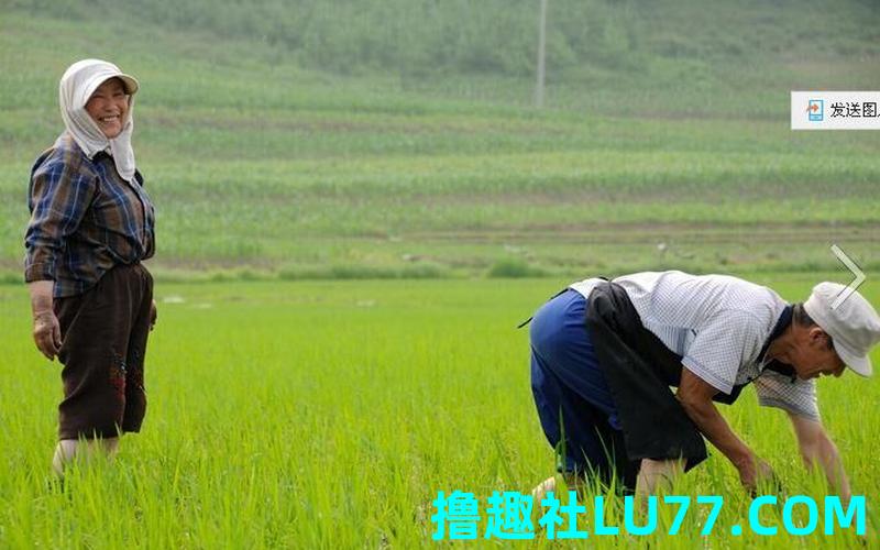 梦见学生 劳动 梦见学生 劳动