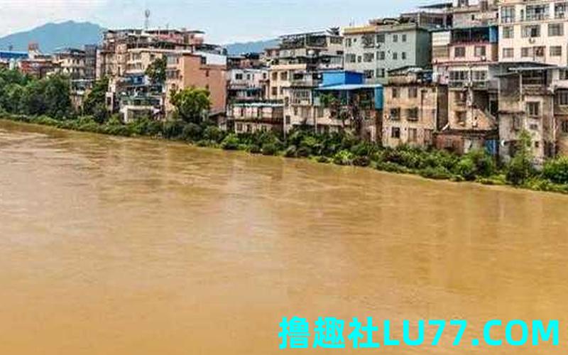 翘梦见涨潮