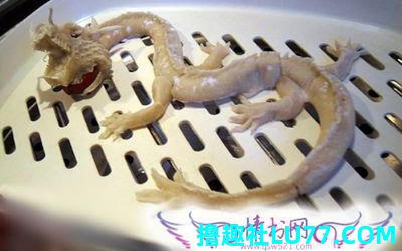 梦见捎龙皮 梦见捎龙皮