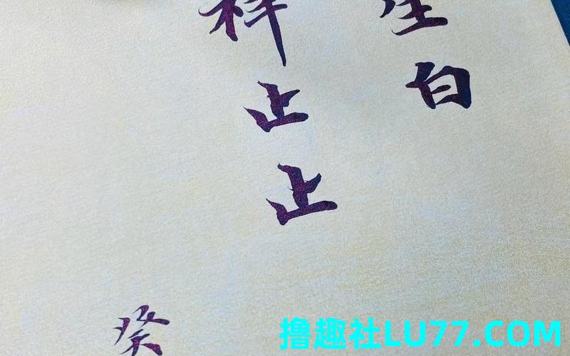 止梦见