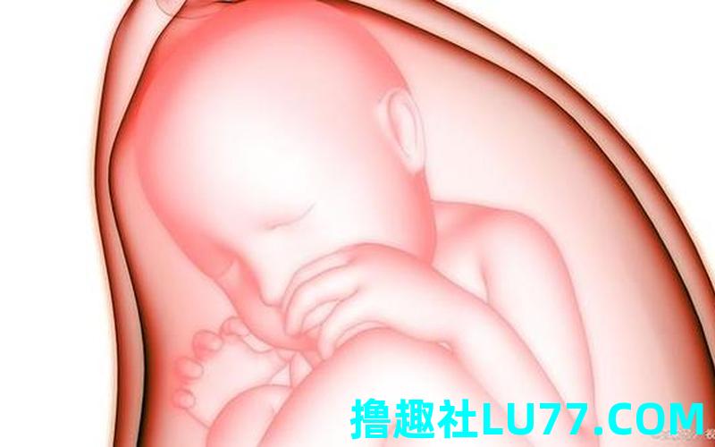 梦见自己的孩子怀孕了 梦见自己的孩子怀孕了