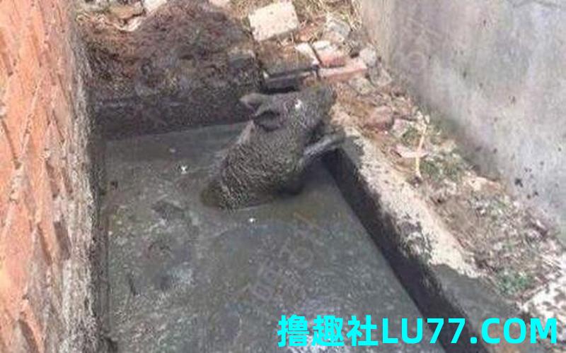 梦见自己掉进坑里了