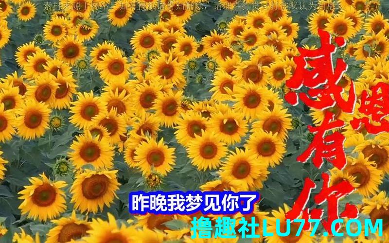 梦见亲人见你 梦见亲人见你