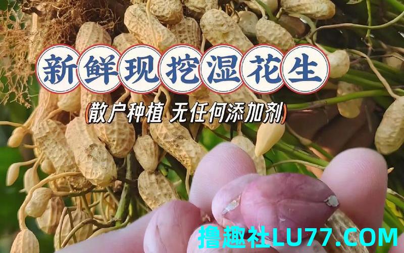 梦见很多花生米啥意思 梦见很多花生米啥意思