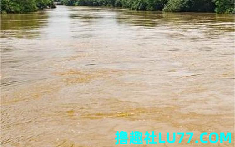 梦见洪水黄河 梦见洪水黄河
