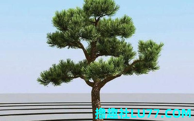 梦见自己砍很多树是什么意思