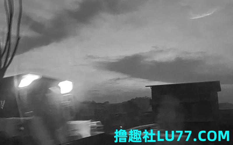 梦见荒芜