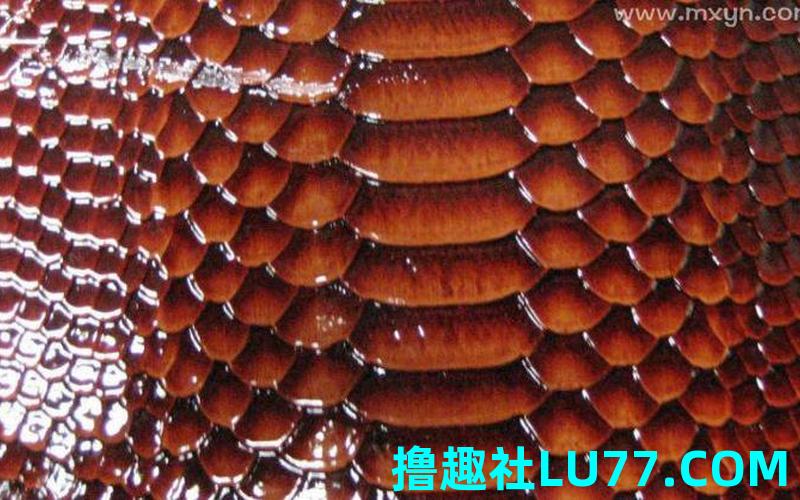 梦见蛇皮是怎么回事