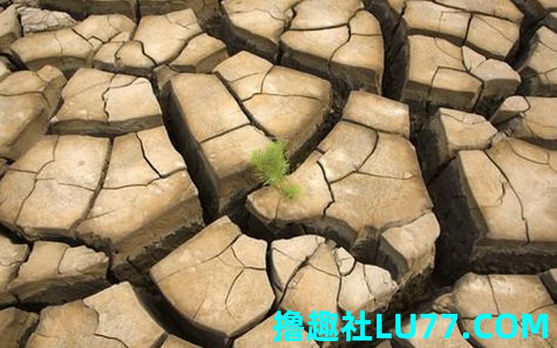 梦见躲旱灾