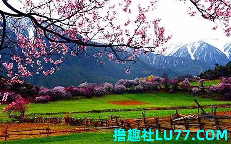 梦见后院好吗