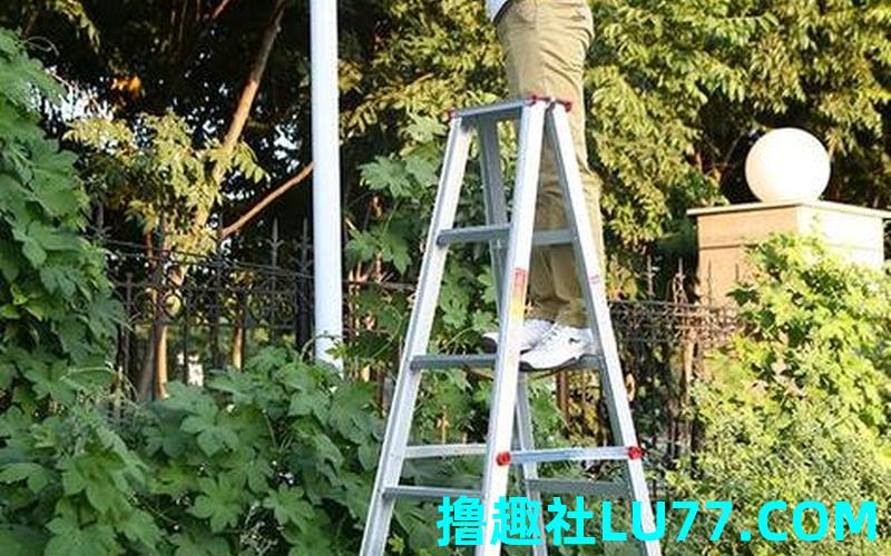 梦见走梯子路 梦见走梯子路