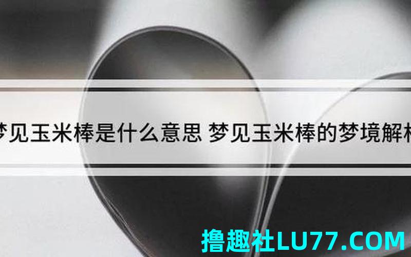 梦见棒
