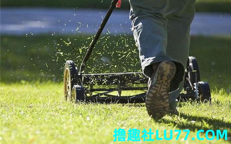 梦见别割草