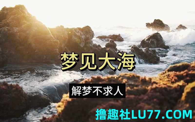梦见井与大海 梦见井与大海
