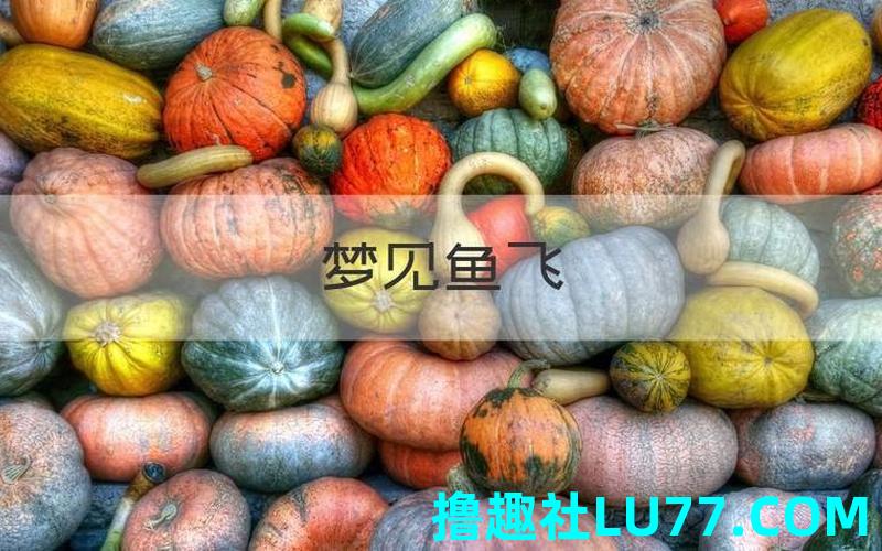 梦见鱼跑出了 梦见鱼跑出了