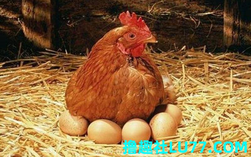 梦见骥