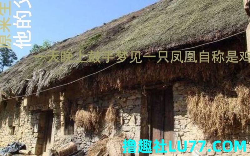 梦见贤