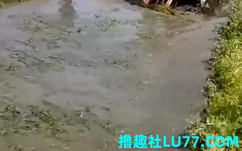 梦见浇水挑渠 梦见浇水挑渠