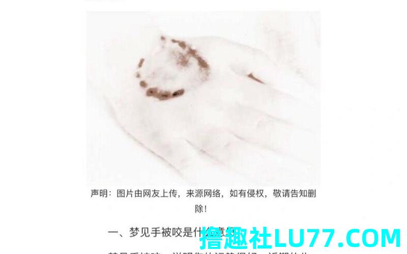 梦见我被别人咬 梦见我被别人咬