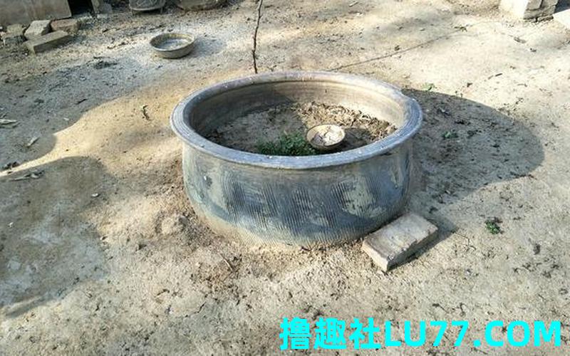 梦见找粪缸