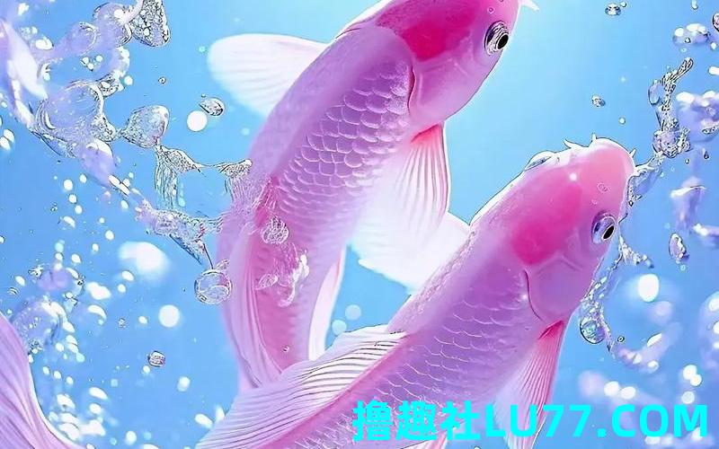 梦见雨流水