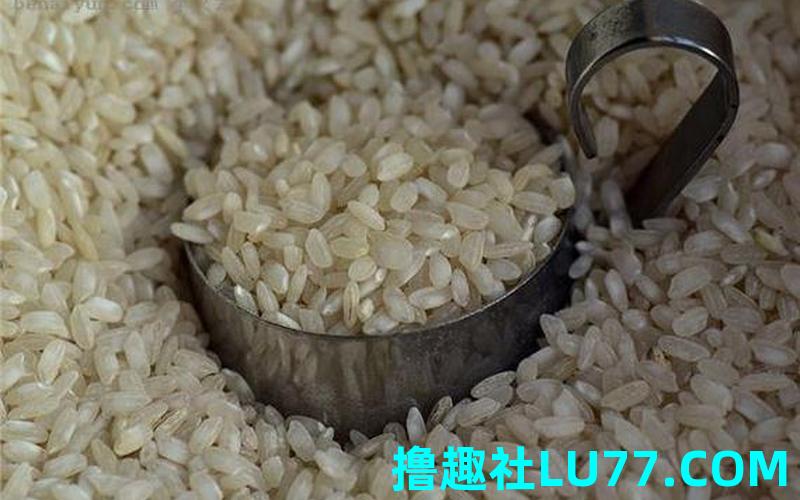 梦见讨米