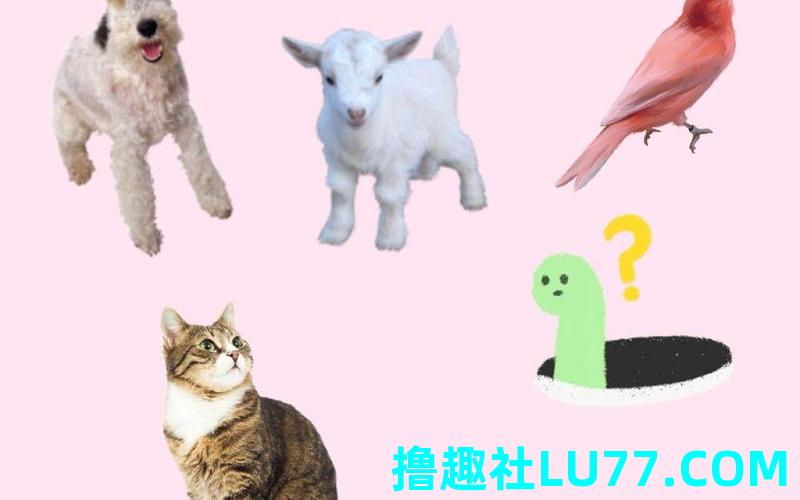 梦见蛇会怀孕吗