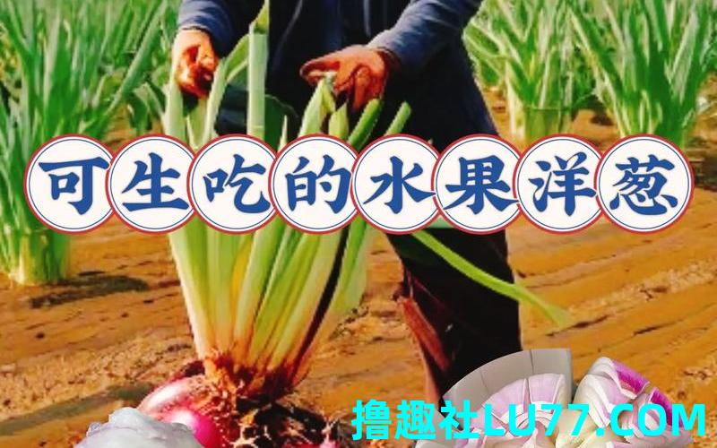 梦见偷吃洋葱 梦见偷吃洋葱