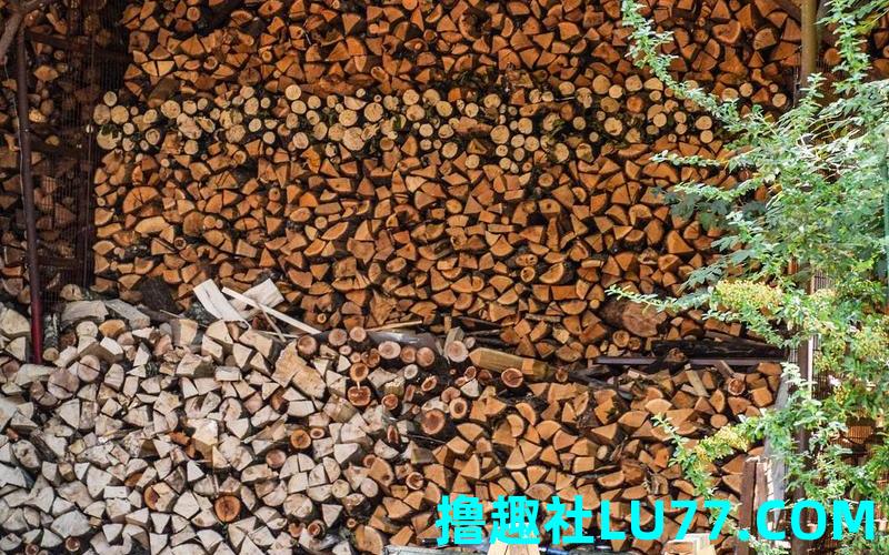 老婆梦见堆柴 老婆梦见堆柴