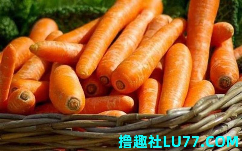 梦见才白萝卜 梦见才白萝卜