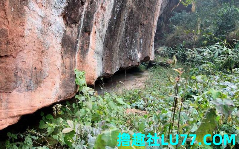 梦见背妈过沟