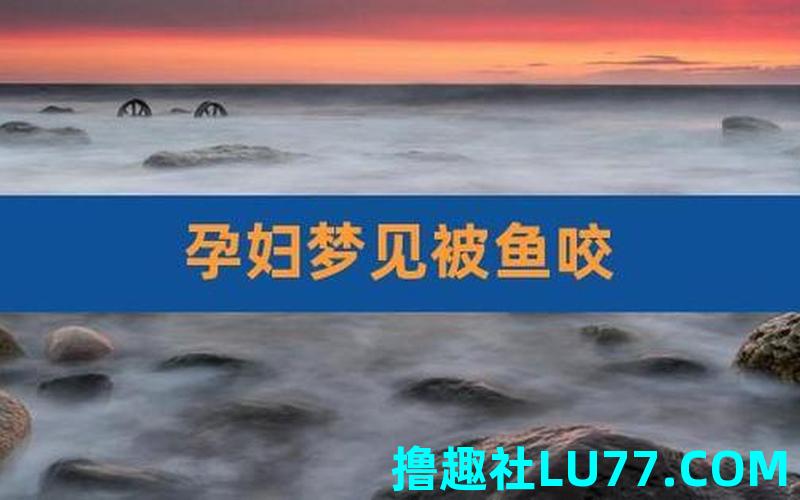 孕妇梦见捉了很多鱼
