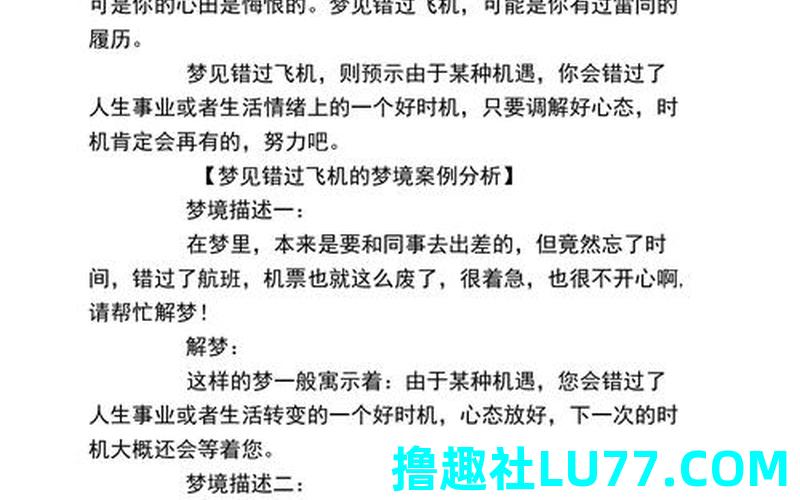 梦见飞机二 梦见飞机二
