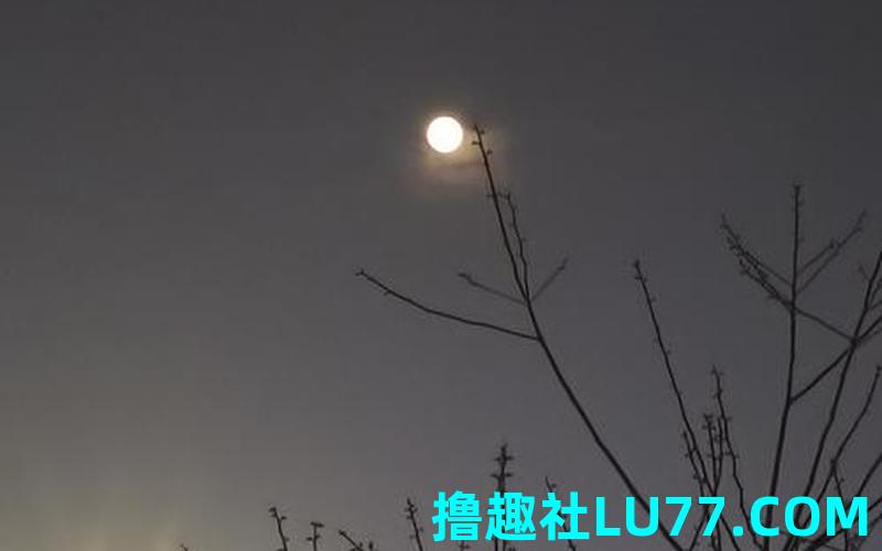 梦见5个圆月 梦见5个圆月