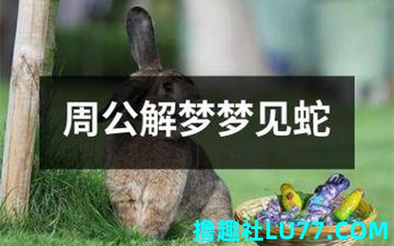 梦见麻蛇