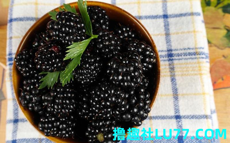 梦见黑色的桑葚