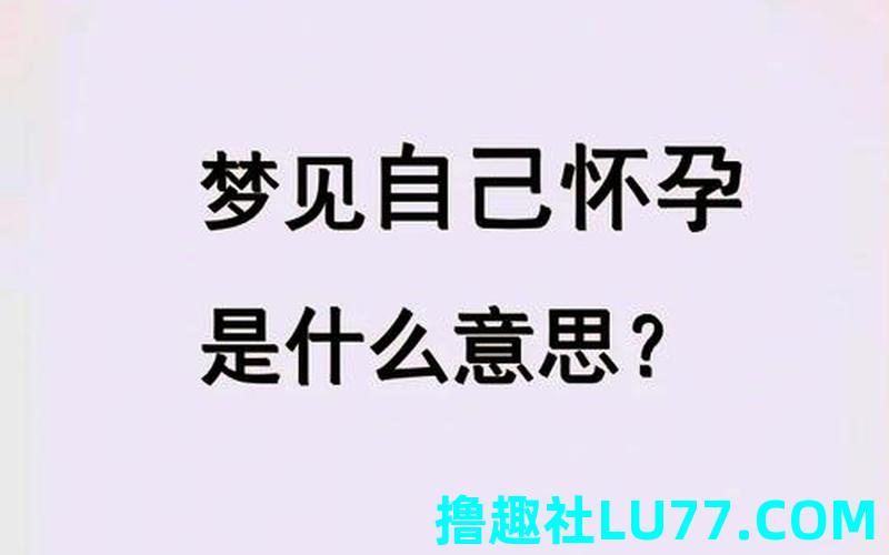 梦见怀