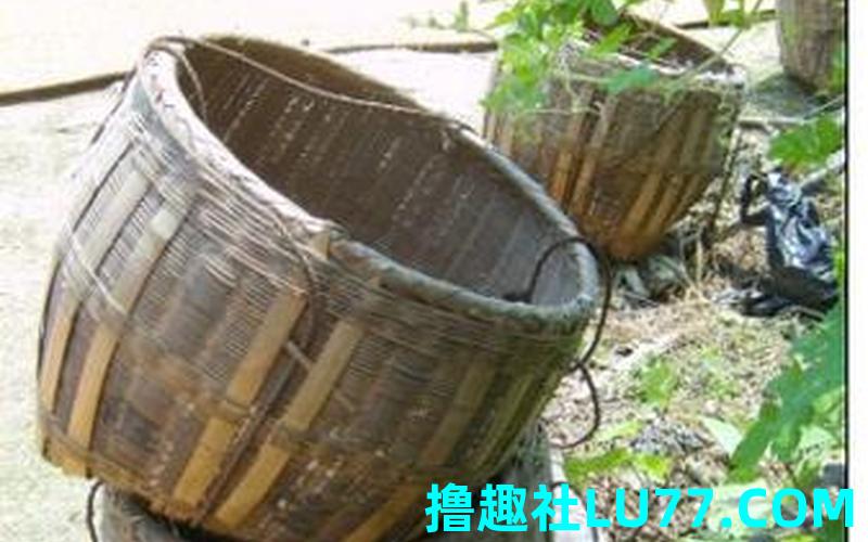 梦见编竹箕 梦见编竹箕