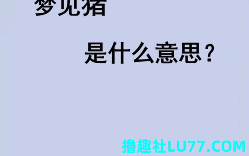 梦见一头山猪